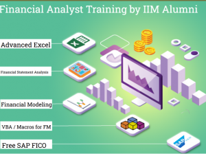 Financial Modelling Course in Delhi, 110068. SLA